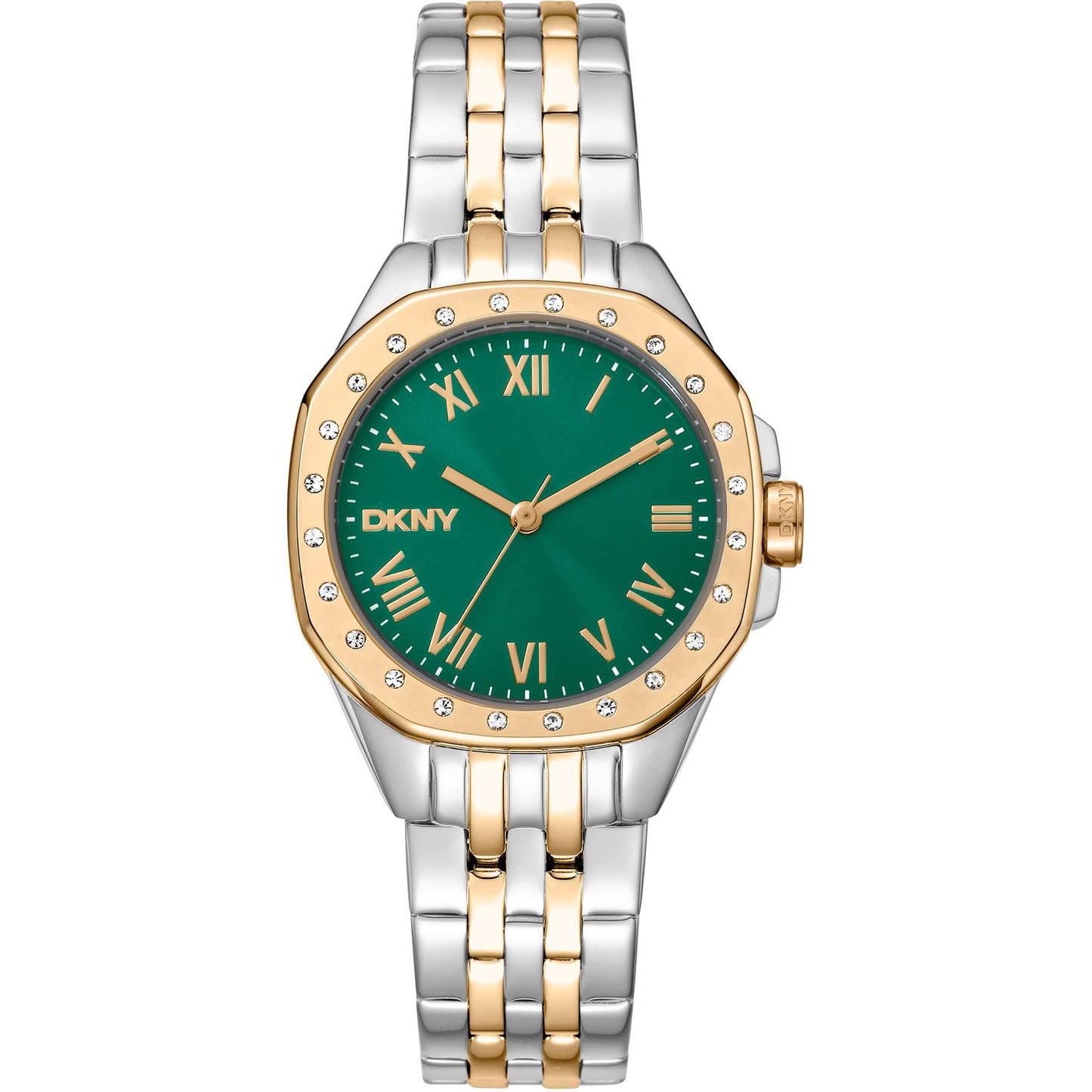 Dkny Watches