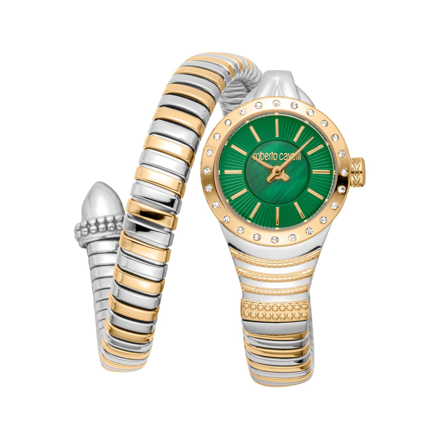 Roberto Cavalli Watches