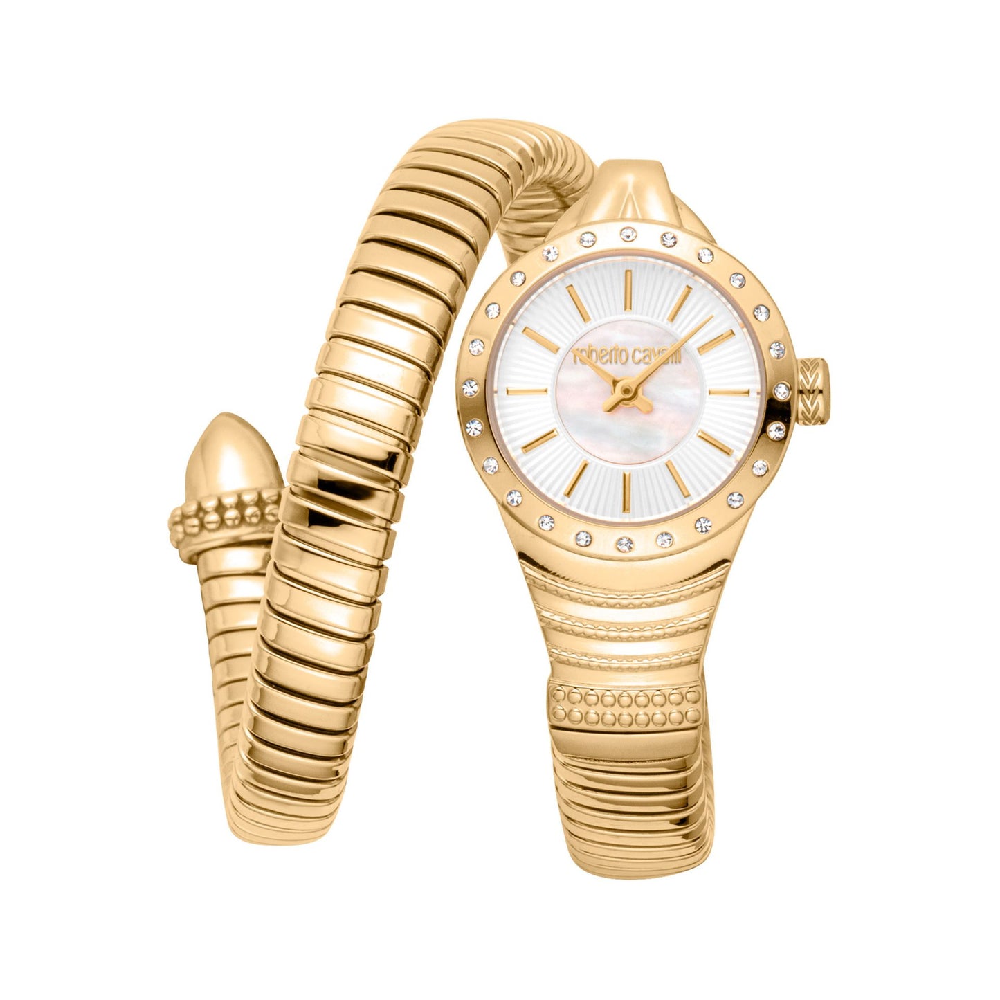 Roberto Cavalli Watches